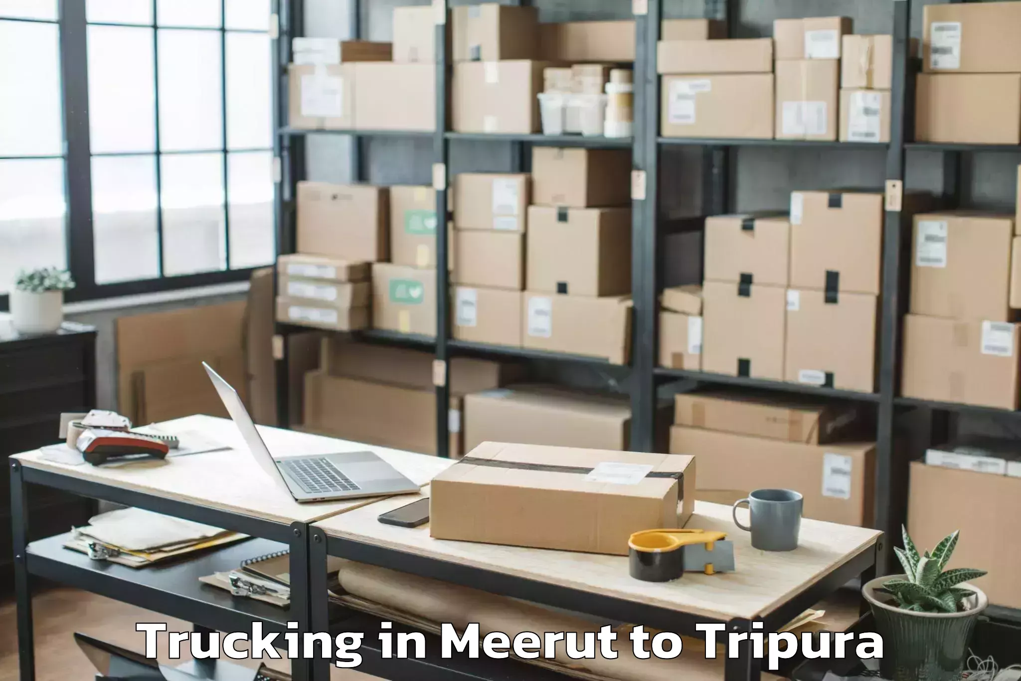 Get Meerut to Dasda Trucking